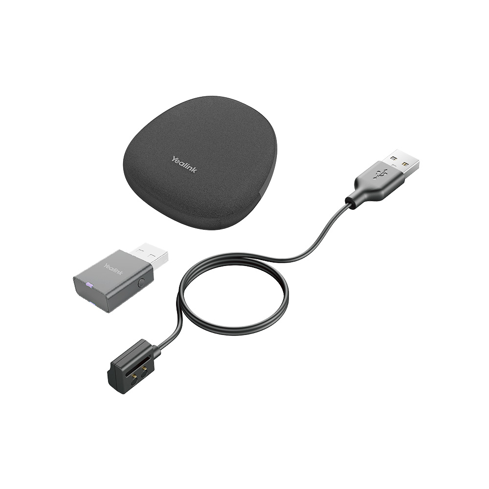 Portable Accessory Kit for WH62/WH66 Portable Accessory Kit for WH62/WH66